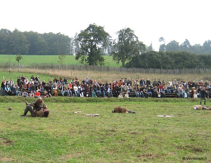 sept09_wikinger.jpg