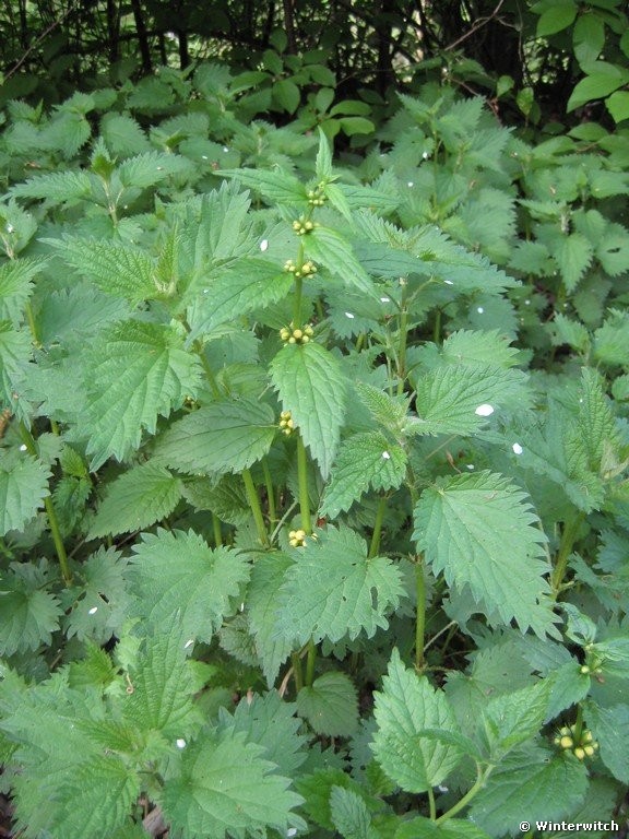 april_201104.jpg
