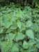 april_201104_small.jpg