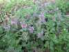 april_201107_small.jpg