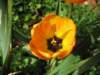 april_201121_small.jpg