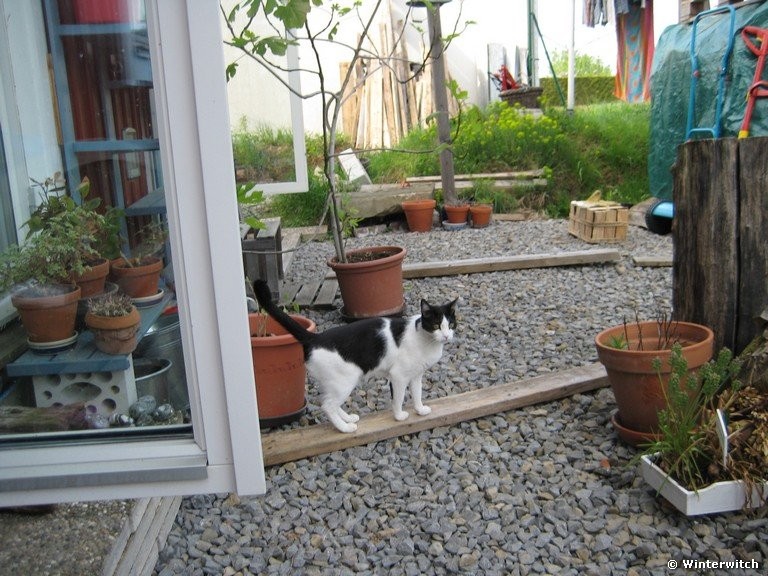 april_201122.jpg