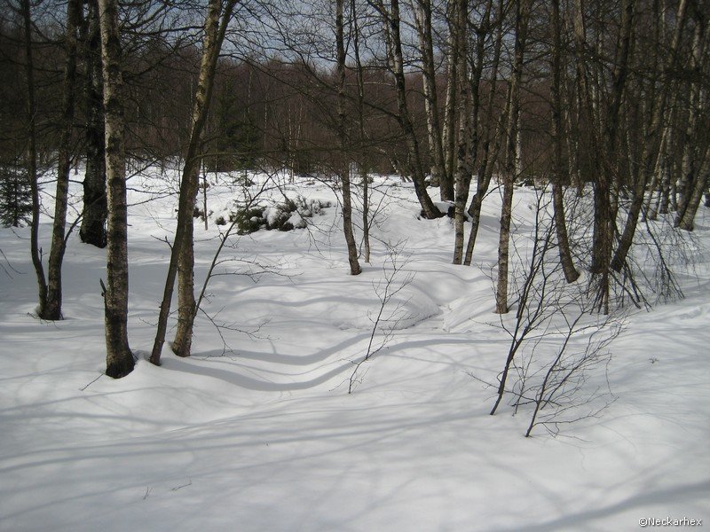 _april_rhoenschafhotel28.jpg