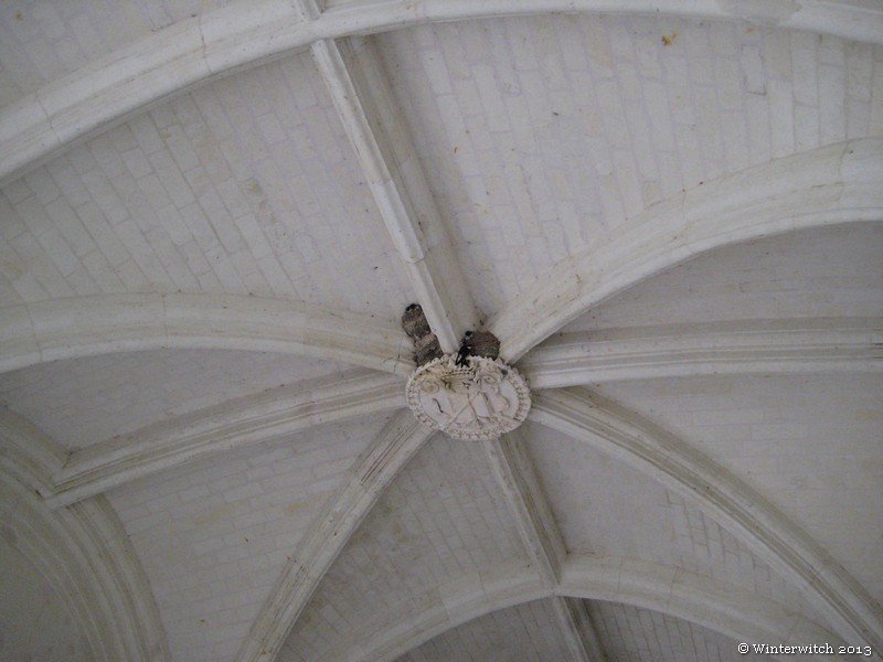 fontevraud48.jpg