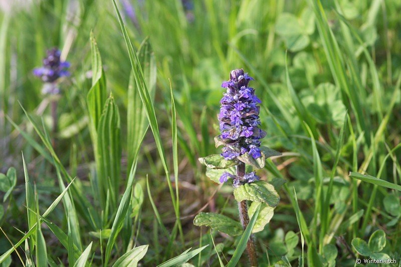 april_1011.jpg