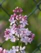 april_1021_small.jpg