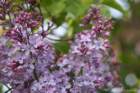 april_1022_small.jpg