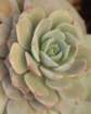 april_1030_small.jpg