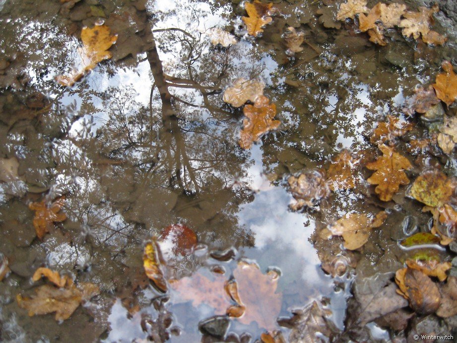 oktober_08herbstimpressionen23.jpg