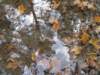 oktober_08herbstimpressionen23_small.jpg
