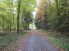 oktober_08herbstimpressionen25_small.jpg