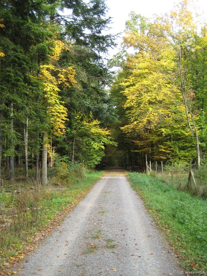 oktober_08herbstimpressionen26.jpg