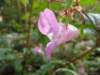oktober_08herbstimpressionen5_small.jpg