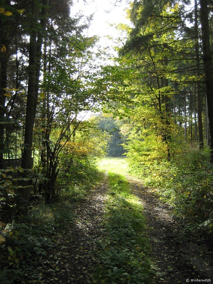 oktober_08herbstimpressionen7.jpg