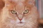 oktober_spr14_small.jpg